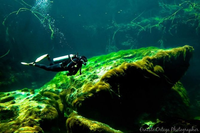 Amazing beginner dive in Tulum cenote (or refresher dive) - Who will get the most from this experience