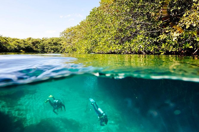 Amazing beginner dive in Tulum cenote (or refresher dive) - Timing, flights, and the practical fine print