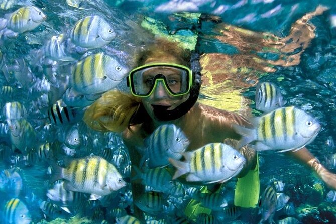 Aquatic Paradise in Tulum: Snorkel Yalku, Swim Cenote & Kaan Luum - Why this Tulum water tour is appealing
