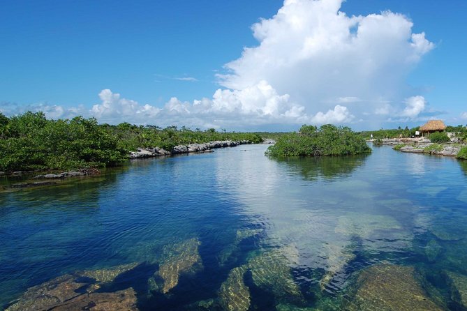 ATV Extreme and Snorkel Adventure from the Riviera Maya - Entering the cenote and exploring clear underground water