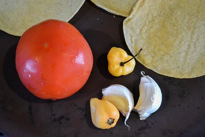 Authentic Mexican Cooking Class in Playa del Carmen - What you take home after the class