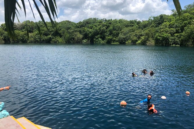 Bacalar Lagoon! Kayaks & Cenote Azul From Playa Del Carmen - The guide and operator are not the same thing