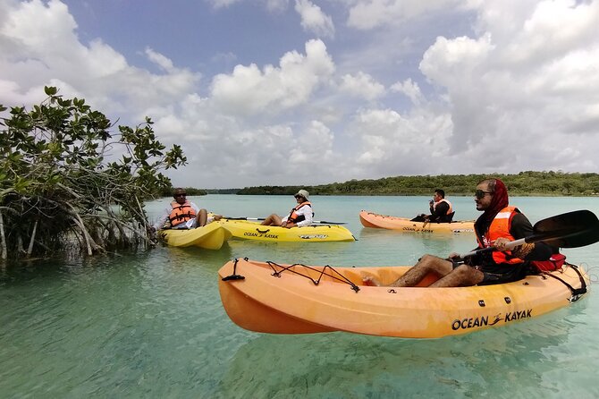 Bacalar Lagoon! Kayaks & Cenote Azul From Playa Del Carmen - The early pickup from Playa del Carmen