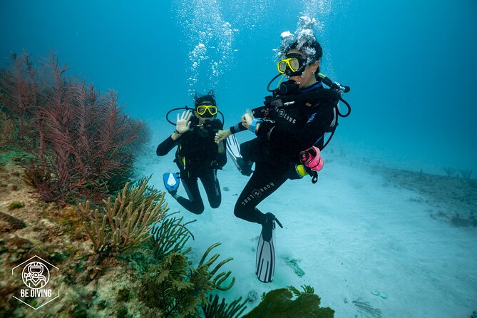 Basic Diver - Bautismo - A gentle first step into scuba