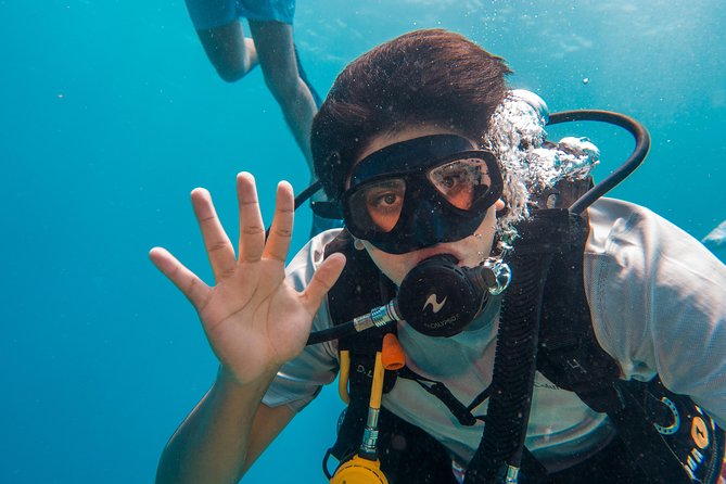 Basic Diver - Bautismo - Two reefs, two chances to settle in
