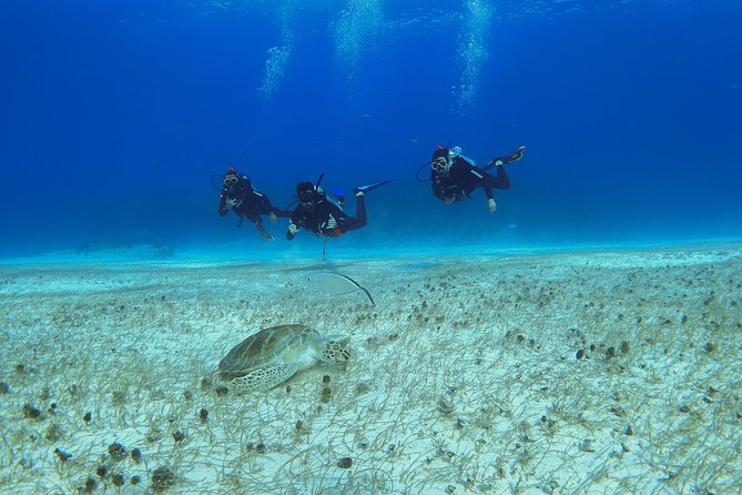 Basic Diver - Bautismo - The morning begins at Be Diving