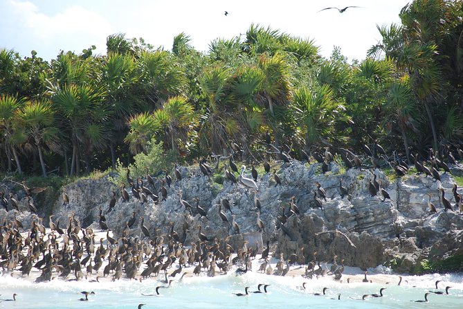 Beach Escape: Isla Contoy and Isla Mujeres with Snorkeling. - Is $169, plus the $20 fee, good value?