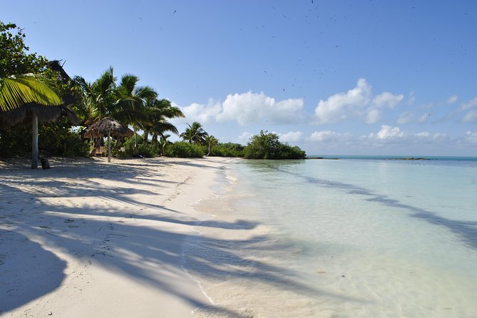Beach Escape: Isla Contoy and Isla Mujeres with Snorkeling. - Reaching Contoy by boat