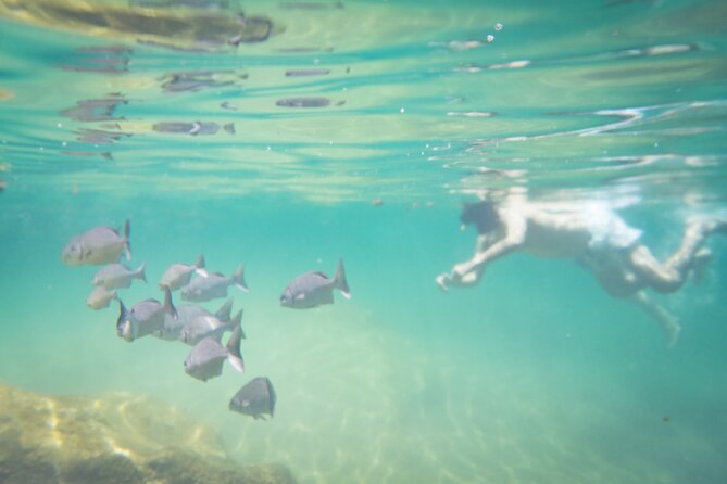 Best in Class: Private Snorkeling Xpedition - Yal-ku Lagoon: fish, reef, and the most colorful water stop