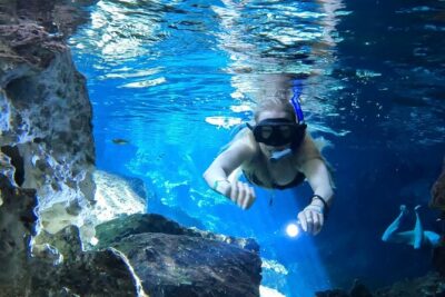 Best in Class: Private Snorkeling Xpedition