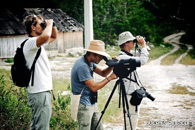 Bird Watching in Sian Ka´an Muyil - Exploring the Muyil archaeological site