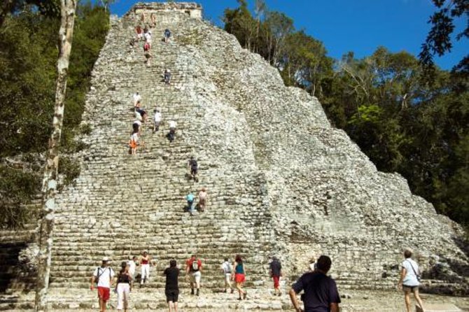 Birdwatching in Coba from Tulum - Shared Group Tour - Coba Birdwatching at a Glance