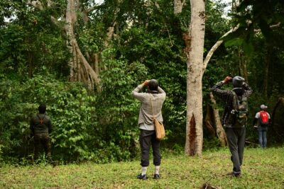 Birdwatching in Coba from Tulum – Shared Group Tour