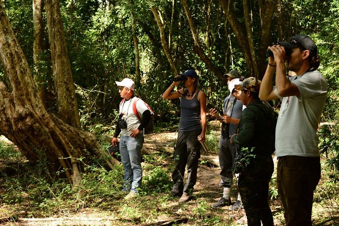 Birdwatching in Coba from Tulum - Shared Group Tour - What the $149 Price Really Covers
