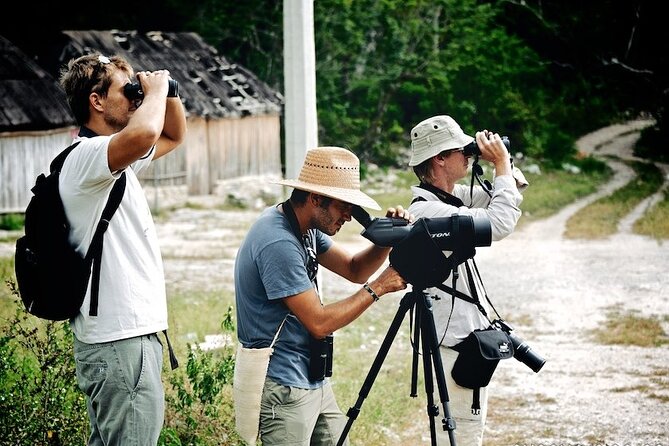 Birdwatching in Sian Ka´an Muyil from Tulum - Shared Group Tour - Why Muyil Works So Well for Early Birdwatching