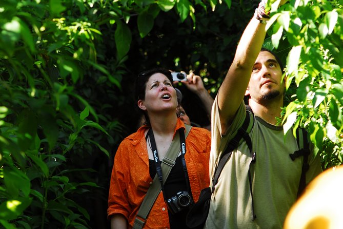 Birdwatching in Sian Ka´an Muyil from Tulum - Shared Group Tour - The Optional Boat Ride and Clear-Water Float