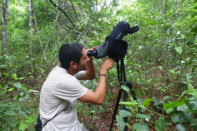 Birdwatching in Sian Ka´an Muyil from Tulum - Shared Group Tour - What the $119 Price Really Covers