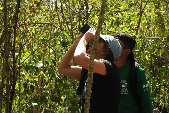 Birdwatching Sian Ka'an Biosphere Reserve - What you might see in three hours