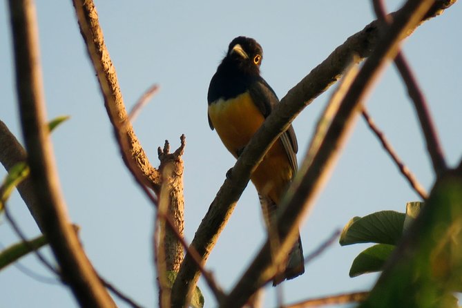 Birdwatching Sian Ka'an Biosphere Reserve - Who will enjoy this tour most