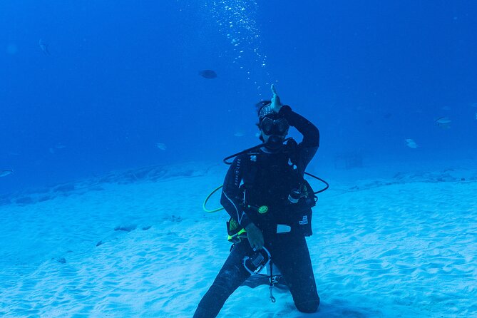 Bull Shark Dive in Playa del Carmen – Dive Machine Experience - Who will enjoy this Playa del Carmen outing