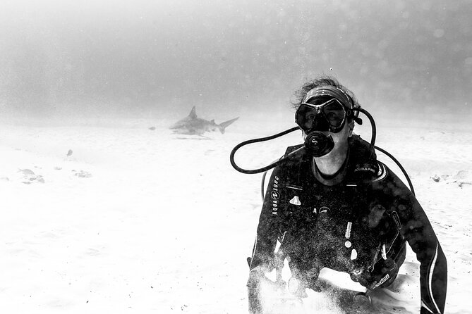 Bull Shark Dive in Playa del Carmen – Dive Machine Experience - Booking, cancellation, and practical timing