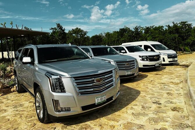 Cancun Airport: Private Transfers From/To Akumal Half Moon Bay - Family details, including infant seats