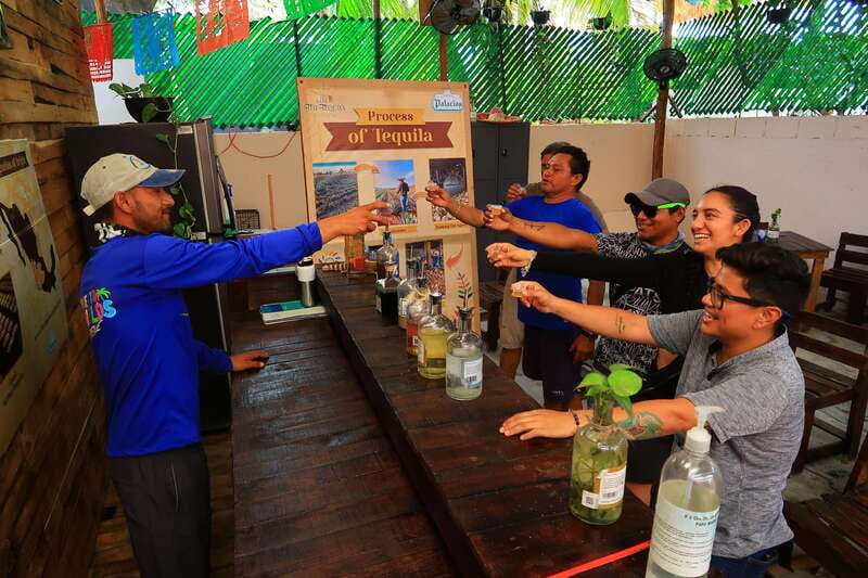 Cancún: Beachside Tacos & Town Tour with tequila tasing - What happens during the tequila tasting