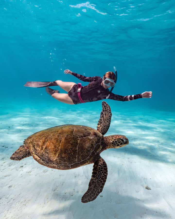 Cancun: Explore Tulum, swim with turtles, cenote, and snorkel in caves - Key points to know before booking