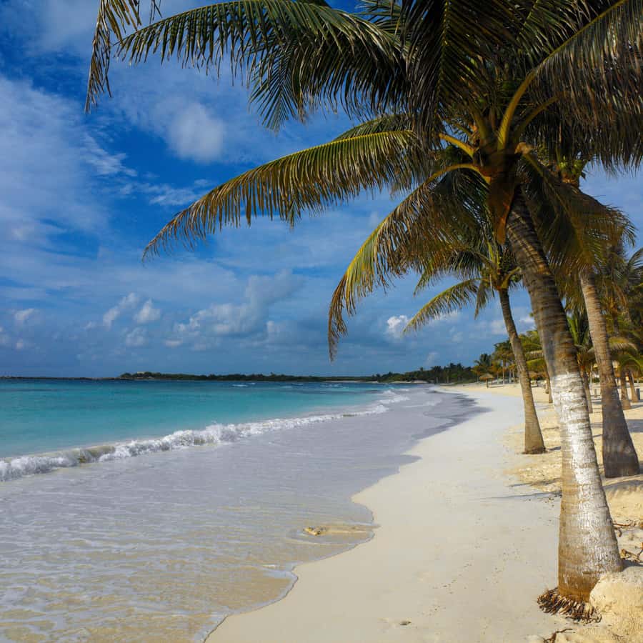 Cancun: Explore Tulum, swim with turtles, cenote, and snorkel in caves - Guides, transport, and the pace of the day