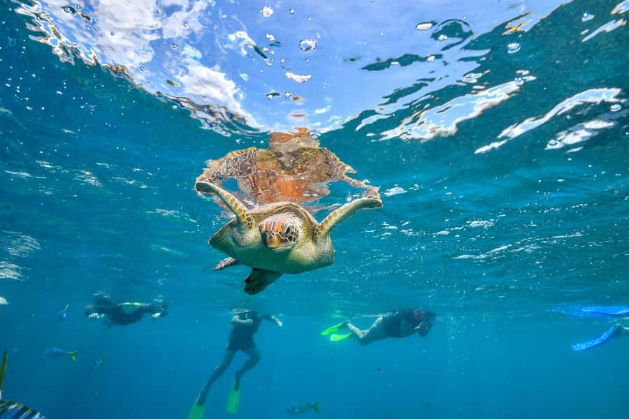 Cancun: Explore Tulum, swim with turtles, cenote, and snorkel in caves - What to pack for the water and ruins