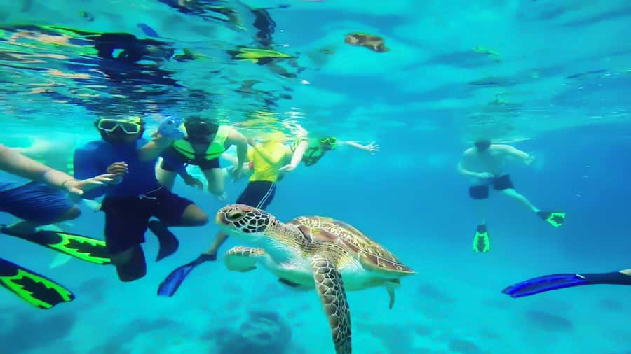 Cancun: Explore Tulum, swim with turtles, cenote, and snorkel in caves - Who will get the most from this tour