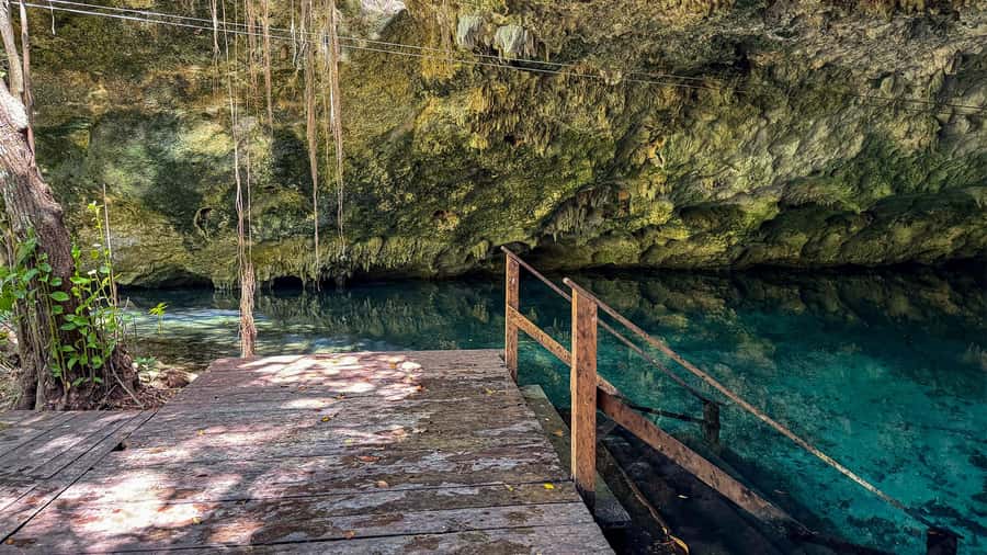 Cancun: Explore Tulum, swim with turtles, cenote, and snorkel in caves - Tulum before the crowds and heat