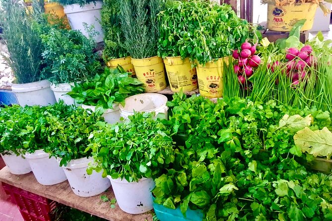 Cancun gems: Mayan Museum, Beach watching, Local Market, & Lunch - Mercado 23: a more everyday side of Cancun