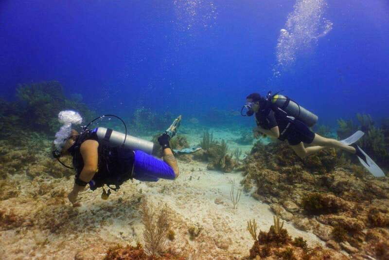 Cancun: MUSA Diving for certified divers morning dive trip - Key points at a glance