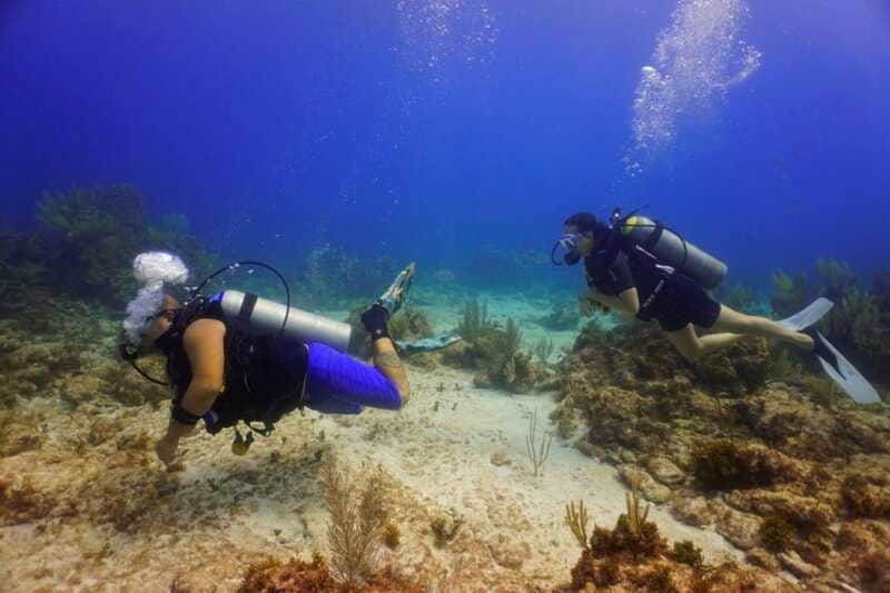 Cancun: MUSA Diving for certified divers morning dive trip - Equipment, water, and the cost of extras