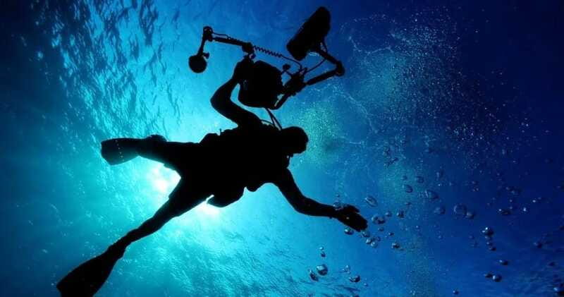 Cancun: MUSA Diving for certified divers morning dive trip - Who gets the best value from this trip