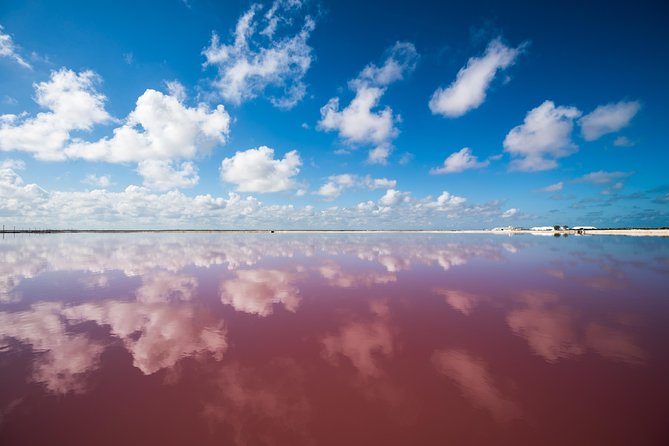 Cancun tour Las Coloradas Pink Lagoon + Rio Lagartos Tour - Meals, guides, and the small-group promise