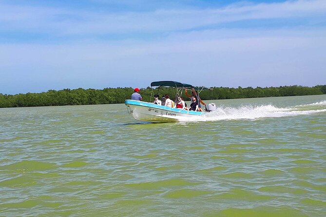 Cancun tour Las Coloradas Pink Lagoon + Rio Lagartos Tour - Río Lagartos brings the wildlife focus