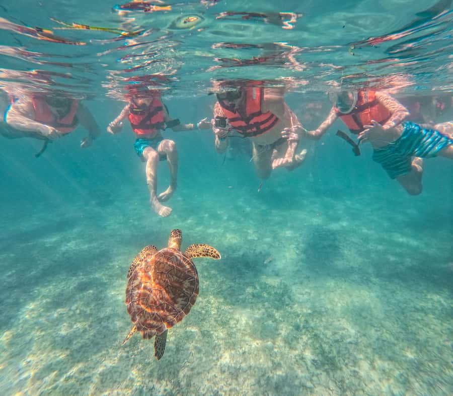 Cancun: Tulum Ruins, Akumal Turtles, Cenote & Caves Tour - Why this one-day Riviera Maya route works