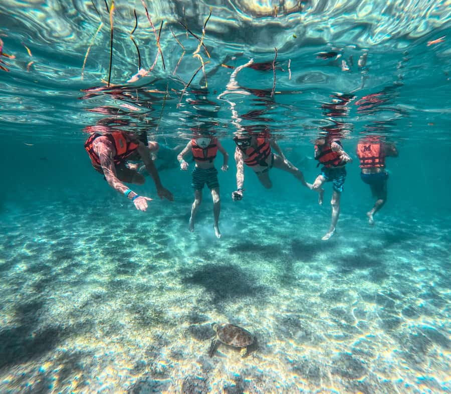Cancun: Tulum Ruins, Akumal Turtles, Cenote & Caves Tour - Akumal and the sea turtles