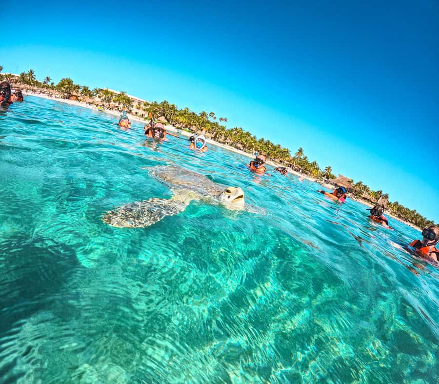 Cancun: Tulum Ruins, Akumal Turtles, Cenote & Caves Tour - FAQ