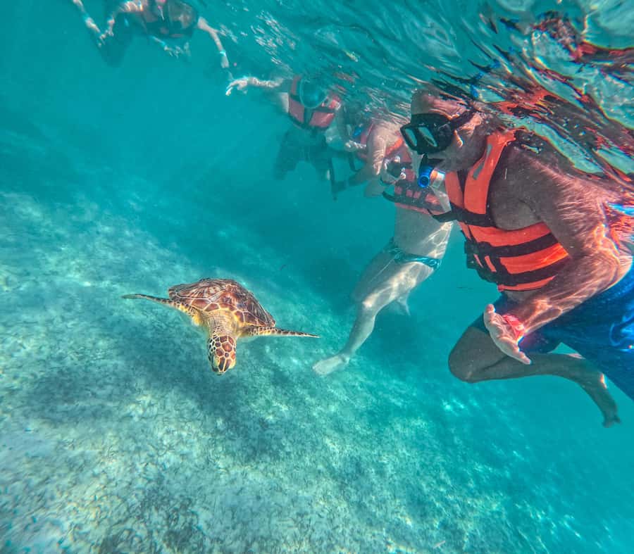 Cancun: Tulum Ruins, Akumal Turtles, Cenote & Caves Tour - Tulum before the crowds arrive