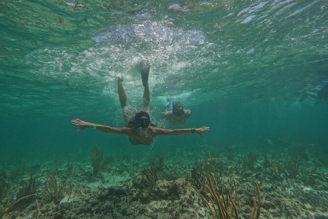 Catamaran Cruise in Riviera Maya With Snorkeling & Beach Club - The real time commitment and transport concerns