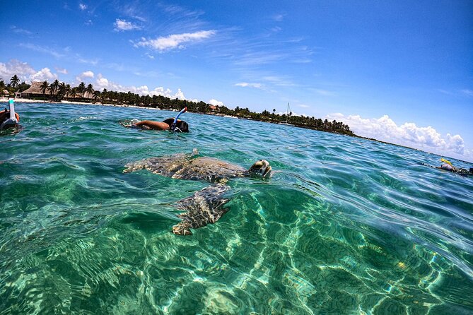 Cenote and Swimming with Turtles Private Tour in Akumal - What to bring and how to prepare