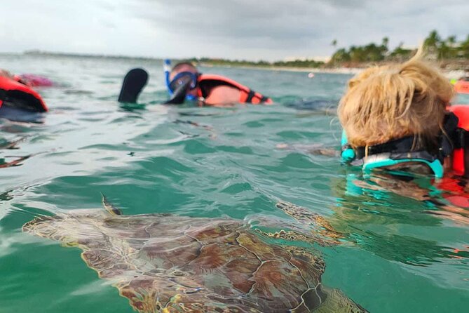 Cenote and Swimming with Turtles Private Tour in Akumal - Searching for turtles at Akumal Bay
