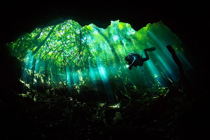 Cenote Diving - 2 Tank Dive Trip for Certified Divers - The 45-Minute Ride to the Cenote