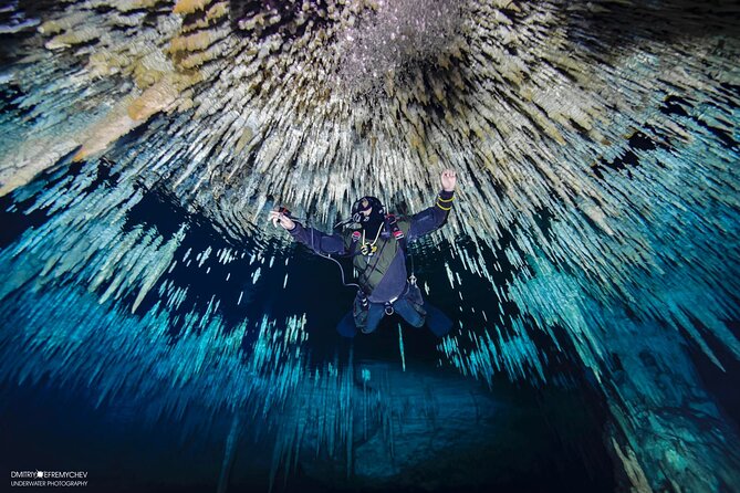 Cenote diving Dream Gate - Meeting in Playa del Carmen at 8:00 am
