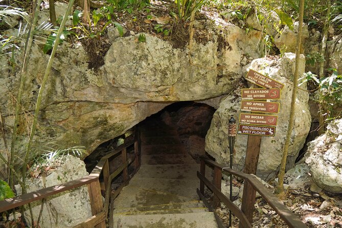 Cenote Expedition: Discover 3 Secret Cenotes with Mayan ritual - What the $109 Price Covers
