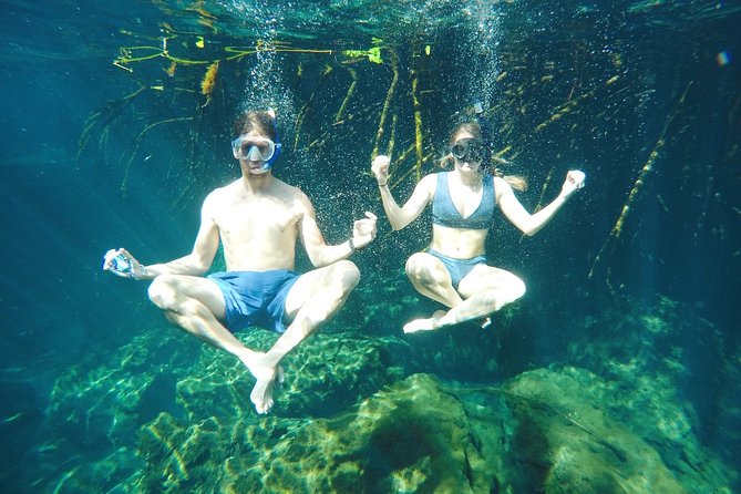 Cenote Paddleboarding and Snorkeling in Tulum - Tacos Make the Price Easier to Justify