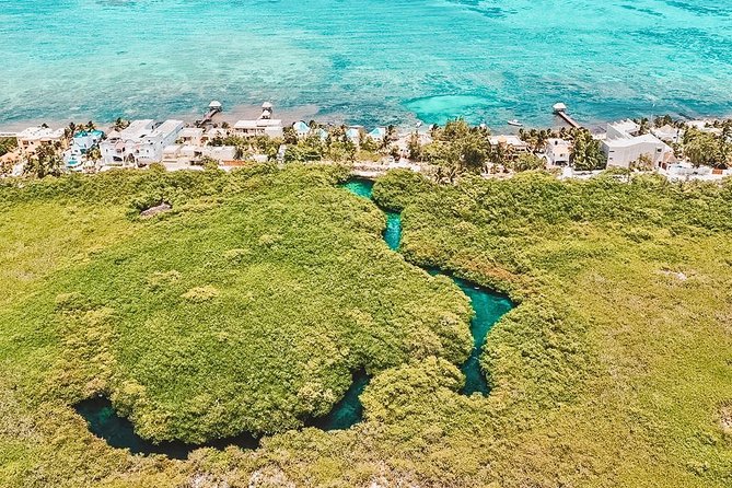 Cenote Paddleboarding and Snorkeling in Tulum - Who Will Enjoy This Morning Most